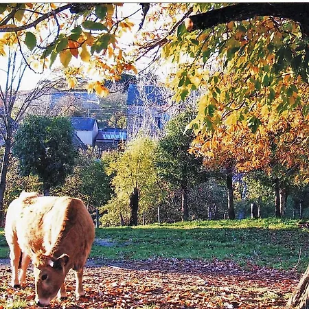 Le Martinou Le Cayrol